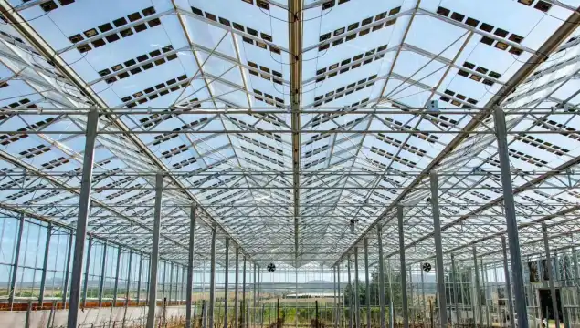 Brite Solar : des panneaux photovoltaïques transparents adaptés aux serres
